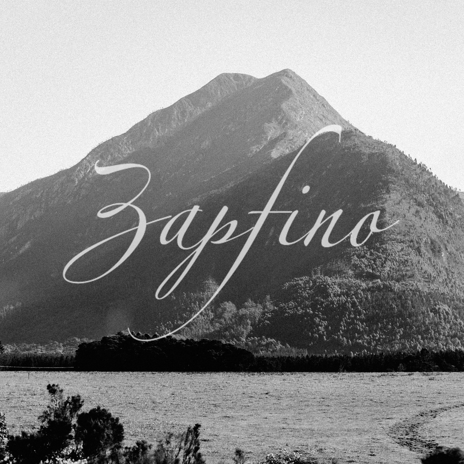11 Alternative Fonts to Zapfino